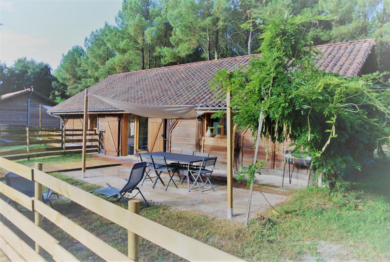 Les Gites Du Grand Chene Saint-Paul-en-Born Dış mekan fotoğraf